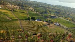 The Orchard — foto 5