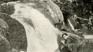 All for Old Ireland — foto 1