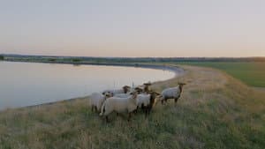 Monde agricole : la fracture de l’eau — foto 6