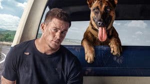 Dog: Un viaje salvaje — foto 2