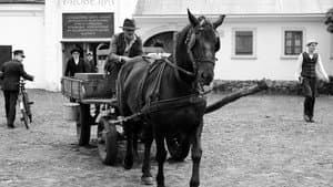 1945 — foto 6