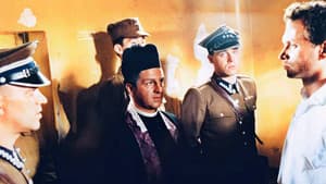 Deszczowy żołnierz — foto 1