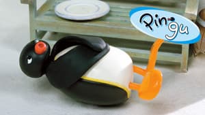 Pingu — foto 6
