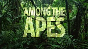 Among the Apes — foto 1