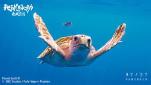 Planet Earth: Hostile Paradise or Perfect Hell? — foto 1