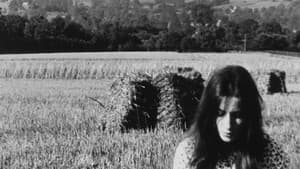 L'Été — foto 4