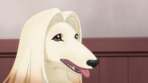 Episodio 10