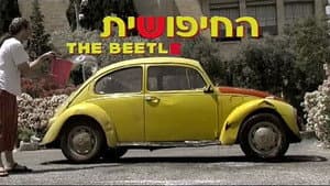 החיפושית — foto 1