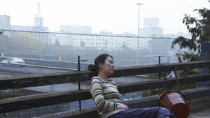 이리 — foto 2