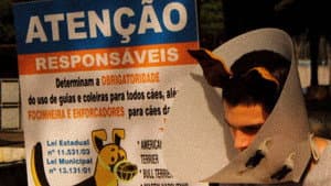 Homem Cachorro — foto 1