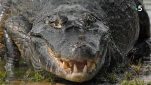 Le lac rebelle du Pantanal — foto 2
