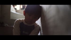 野犬與貓咪 — foto 3