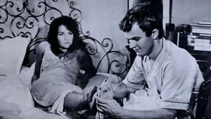 Grazie, zia — foto 1