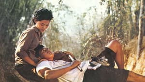 แผลเก่า — foto 2