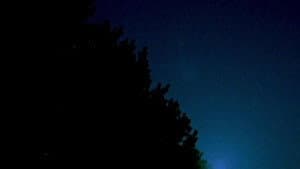 The Picture from Darkness — foto 2
