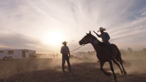 The Cowboy — foto 1