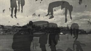 Archipel — foto 2