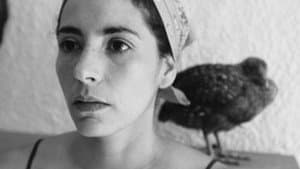 Polvo de gallo — foto 1