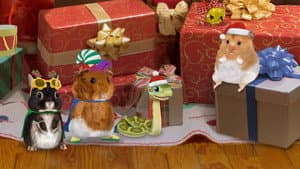 ¡Ayuden al hámster navideño! / ¡Salven al muñequito de nieve!