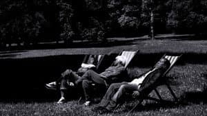 Come la notte — foto 3