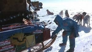 Au Sud du Sud — foto 4