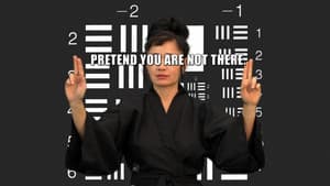 How Not to Be Seen: A Fucking Didactic Educational .MOV File — foto 1