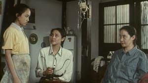 一个独生女的故事 — foto 1