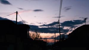 γέννημα θρέμμα Δεντροπόταμος — foto 7