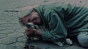Stary człowiek i pies — foto 4