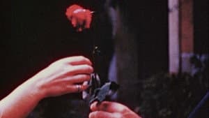 The Assignation — foto 4