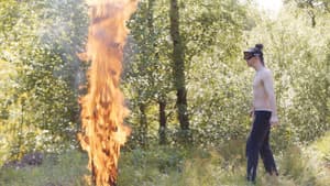 Théo et les métamorphoses — foto 3