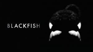 Blackfish — foto 7
