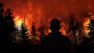 Witness to Disaster — foto 1