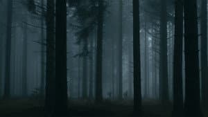 Le Cœur Noir des Forêts — foto 1