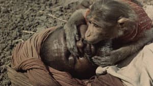 India: Matri Bhumi — foto 3