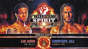 NJPW Fighting Spirit Unleashed 2024 — foto 11