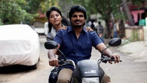 வத்திக்குச்சி — foto 5