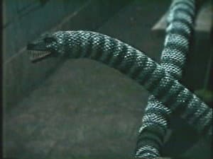 Episodio 3
