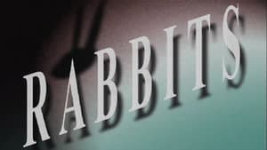 Rabbits — foto 2