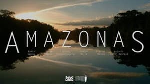 Amazonas — foto 2