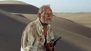 Sands of the Kalahari — foto 8