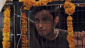 Episodio 7