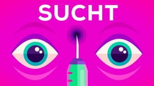 Episodio 13