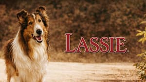 Lassie: Disappearance — foto 2