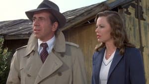 The Man with Bogart's Face — foto 4