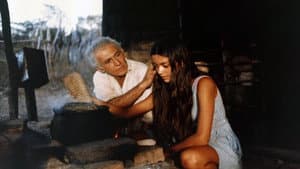 A Faca e o Rio — foto 3