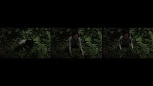 Anitya (Impermanence) — foto 1