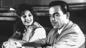 Küçük Beyin Kısmeti — foto 2