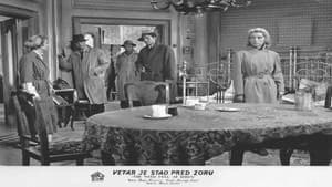 Vetar je stao pred zoru — foto 1
