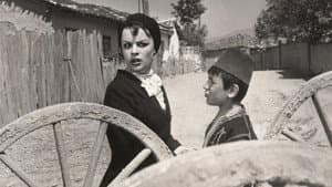 Vurun Kahpeye — foto 1